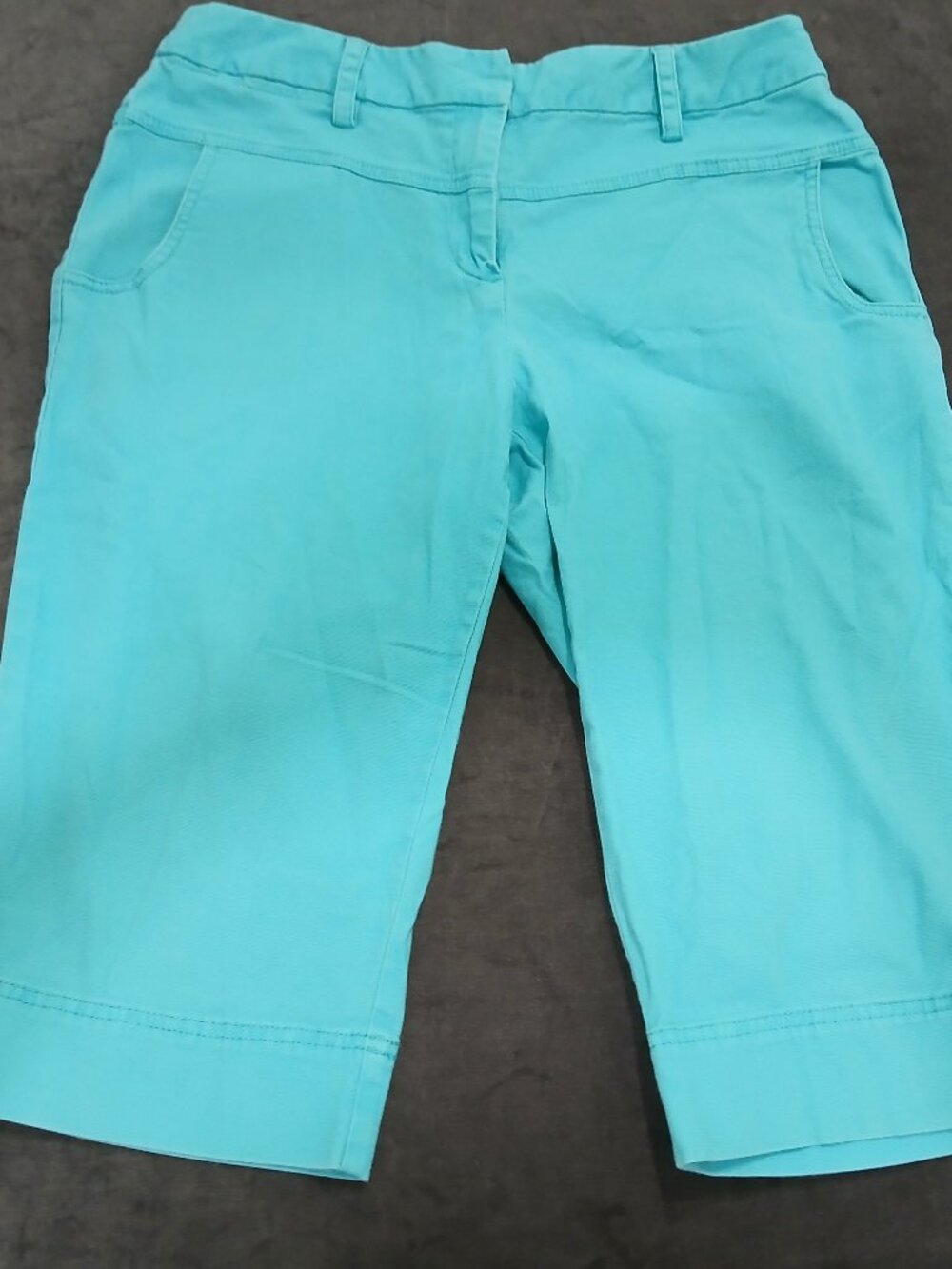 Ruby Road Turquoise Cropped Pants 12p